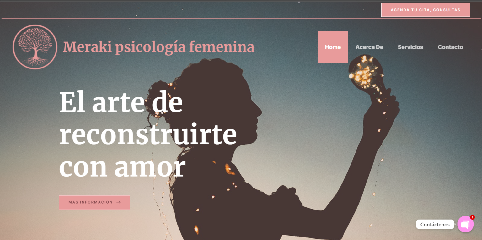 Meraki Psicologia Femenina